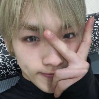 - ̗̀pj ̖́- (@wingxies) 's Twitter Profile Photo - ̗̀pj ̖́- (@wingxies) 's Twitter Profile Photo