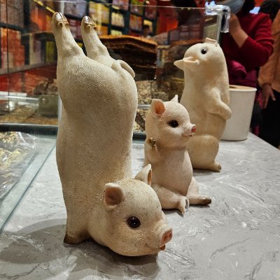 Jc13372237's profile picture. 