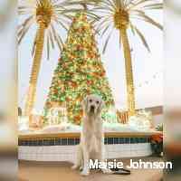 maisiejohnsohn's profile picture. •SHS 22• 
snap: itzthesabs 
“i’ma give you my heart don’t break it 🥺💔”