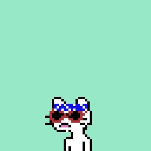 chestervo_OP's profile picture. Immutable_Swapper_30, Rachele Pinnaclepeer