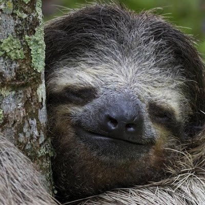 Kierownik346346's profile picture. 