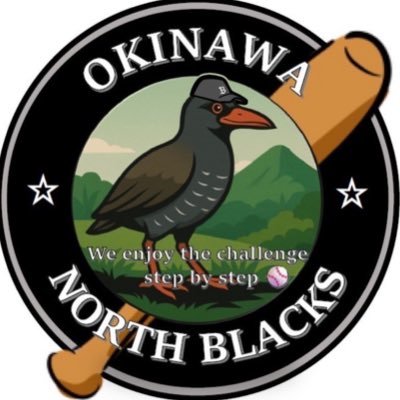 ---令和6年10月本格始動予定--- 沖縄北部で1番の草野球チームを作りたいと思っています! 選手、マネージャー募集してますのでよろしくお願い致します!気軽に練習試合のDMもしてください! 試合は平日北部でナイター 日曜日練習試合も募集してますのでよろしくお願いします🙇♂️