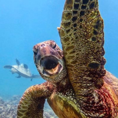 Juan06213039's profile picture. sem multidão .