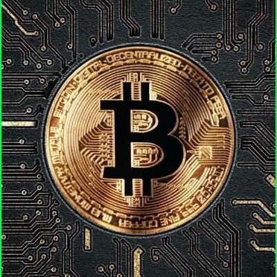 CryptoInsi84137's profile picture. 