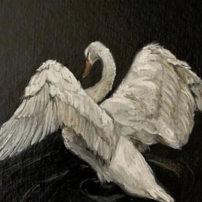 hi3n_q's profile picture. وأنّ لَيسَ لِلأنسَانِ إلّا مَا سَعَى وَ أنَّ سَعيَهُ سَوف يُرَى