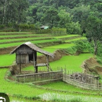 emerildaputri's profile picture. 