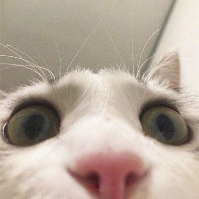 Scubaさんのプロフィール画像