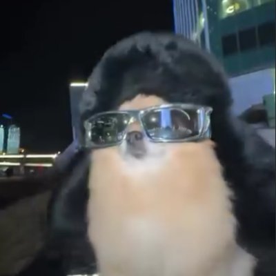 _theone_97's profile picture. all I know is I don't know nothin