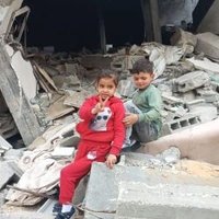naseef (@y96276) 's Twitter Profile