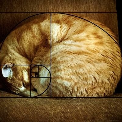 BoyPeater's profile picture.