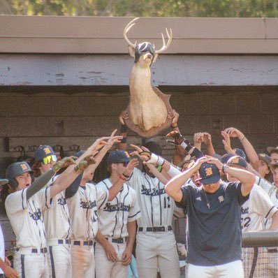 Official Account of Buckhorn High School Baseball.