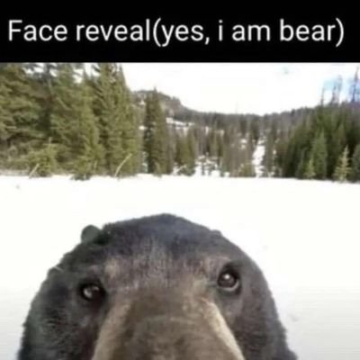 monkeyman6660's profile picture. 