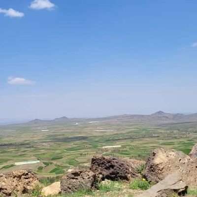 slmn2025's profile picture. الدنيا دواره