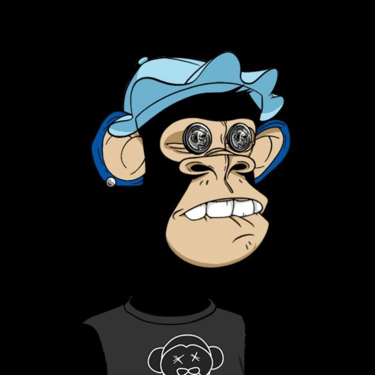 5zaid_ROFLaave's profile picture. Holistic Wellness Warrior ◽️ Published a guide on sustainable fashion  | Blockchain in education innovator