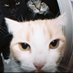 هيرو (@aaf2220) Twitter profile photo هيرو (@aaf2220) Twitter profile photo
