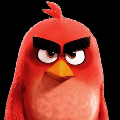 imranx49's profile picture. 