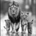 Jose socorro enriquez (@jenriquez11285) Twitter profile photo Jose socorro enriquez (@jenriquez11285) Twitter profile photo