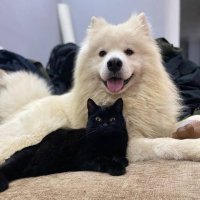 Bella🦔 (@le_anecdote) 's Twitter Profile