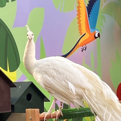 007Fatome's profile picture. very chaotic thinking, unrelated tweets