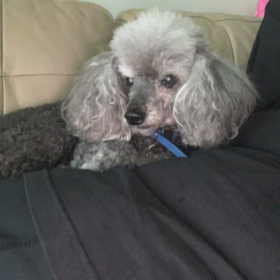 TDAVIS1223's profile picture. 