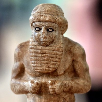 LossCompounding's profile picture. 