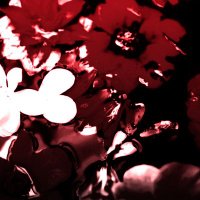 ♰ (@ccantipathy) 's Twitter Profile