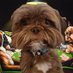 Dog or Pass Podcast (@dogorpasspod) Twitter profile photo Dog or Pass Podcast (@dogorpasspod) Twitter profile photo