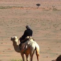 ابن عطا العازمي (@a5halmtj) 's Twitter Profile