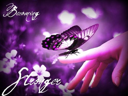 BecomingStrongr's profile picture. The Becoming Stronger organization is about helping others to recover from Self Injury and overcome their struggles. 
508-591-5047
becomingstronger@live.com