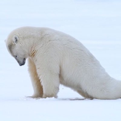 ahmadahead_ Profile Picture