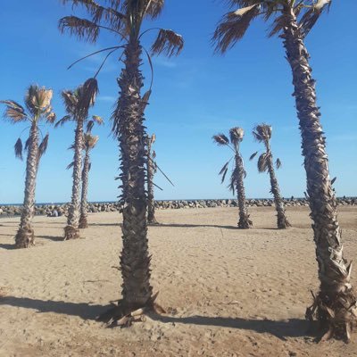 JeanPie56768328's profile picture. Pour l’actualité uniquement !