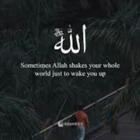 servantofallah (@qalbimuhammad1) 's Twitter Profile