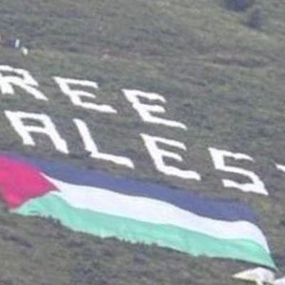 never stop talking about Palestine 🇵🇸 they are innocent people they deserve justice and better life 🇵🇸🙏