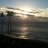 jl77sharksfan's profile image