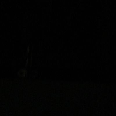 Algrow_uyt's profile picture. ज़िम्मेदारी से सीख रही हूँ, सेवा से सिखाऊंगी !