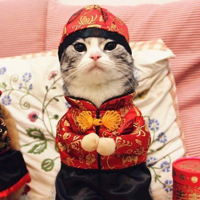 of_c_live's profile picture. https://t.co/M9ZsJW1hNB
过完了今天就忘了昨天
i miss csgo