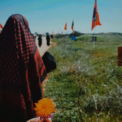دانشجوی روان شناسی/ارادتمند به فدایان وطن/عاشق سفر و کشف دنیای جدید