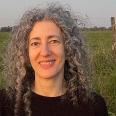 Leo, escribo, traduzco / Pongo el lavarropas a deshoras / Aprieto send antes de adjuntar / No insulto compatriotas por las redes