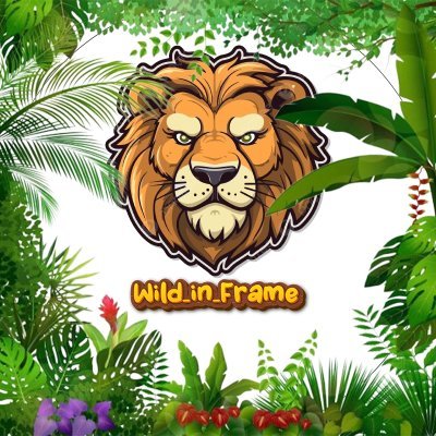 Wild_in_Frame's profile picture.