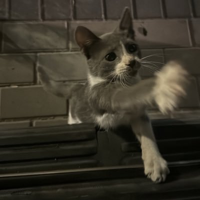 IrUh27989's profile picture. 