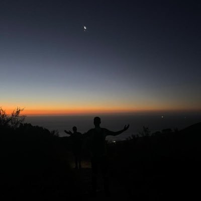 The world is full of obvious things which nobody by any chance ever observers!