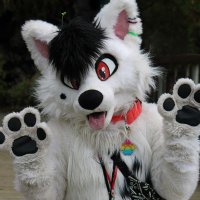 cane folf (@canefolf) 's Twitter Profile