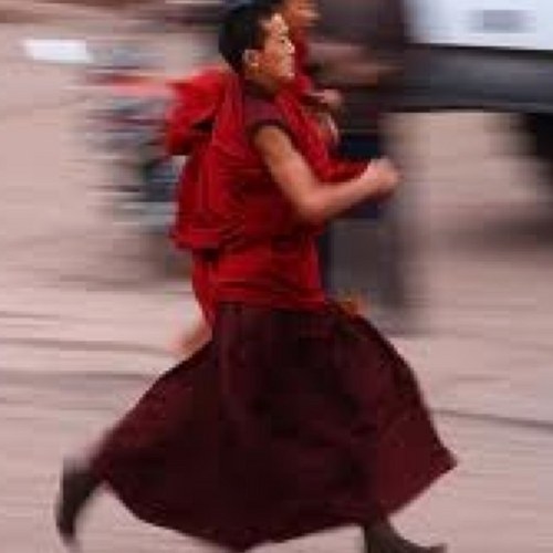 RunWithBodhi's profile picture. Tweets by Bodhi, the lead character in a 2013 novel by @endurancejer( 2013); Endurance, Ultrarunner, Meditation, Enlightenment, Buddhism, Shamanism,