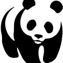 amisat826's profile picture. オンライン趣味垢╎SF6,valo,🔰Apex,🔰VRChat╎