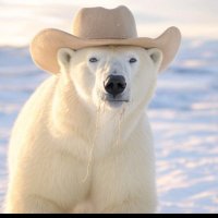 YeeHaw Ice Bear (@tornadicdoge24) 's Twitter Profile