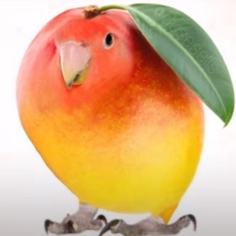 sprot414793's profile picture. 