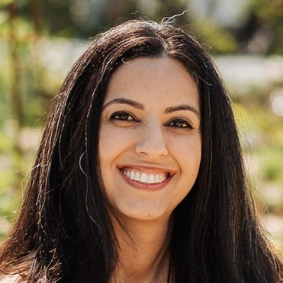 planetary scientist, paleomagnetist, Assistant Professor of Geophysics @Stanford
