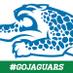 SouthSide (@southsidejag) Twitter profile photo SouthSide (@southsidejag) Twitter profile photo