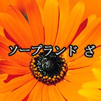 ソープランド ざ (@r6rjl) 's Twitter Profile