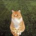 ‘ (@myetsdar) Twitter profile photo ‘ (@myetsdar) Twitter profile photo